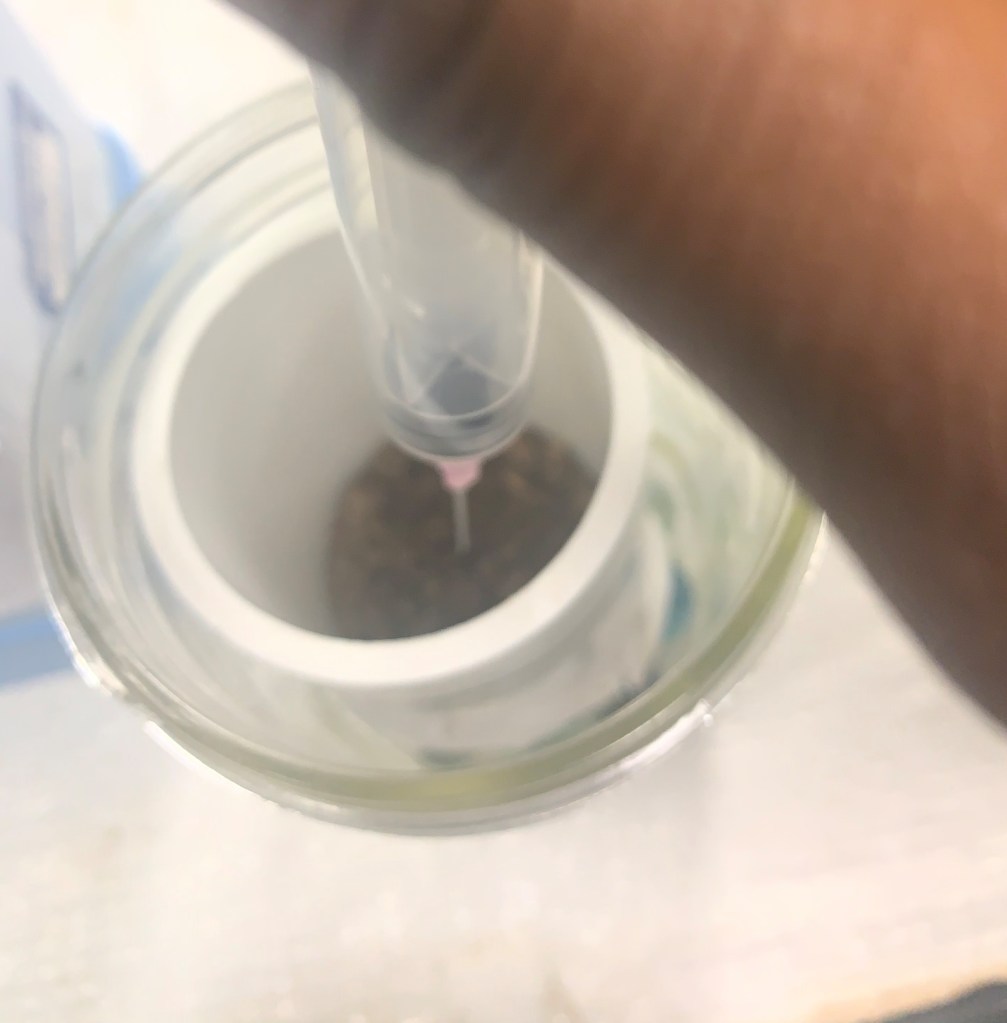 A close up of a hand

Description automatically generated